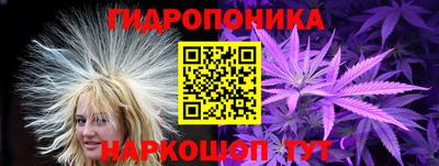 гидра Беслан