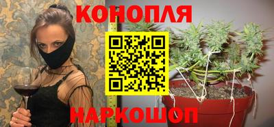 a pvp Бийск