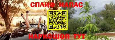 a pvp Бийск