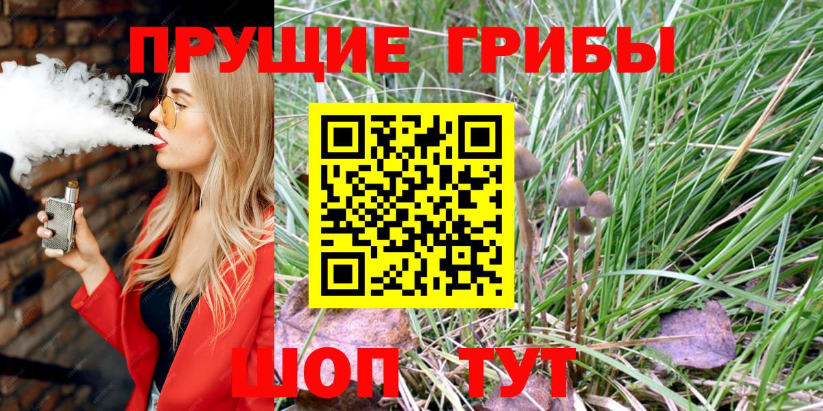 Псилоцибиновые грибы прущие грибы Зеленогорск